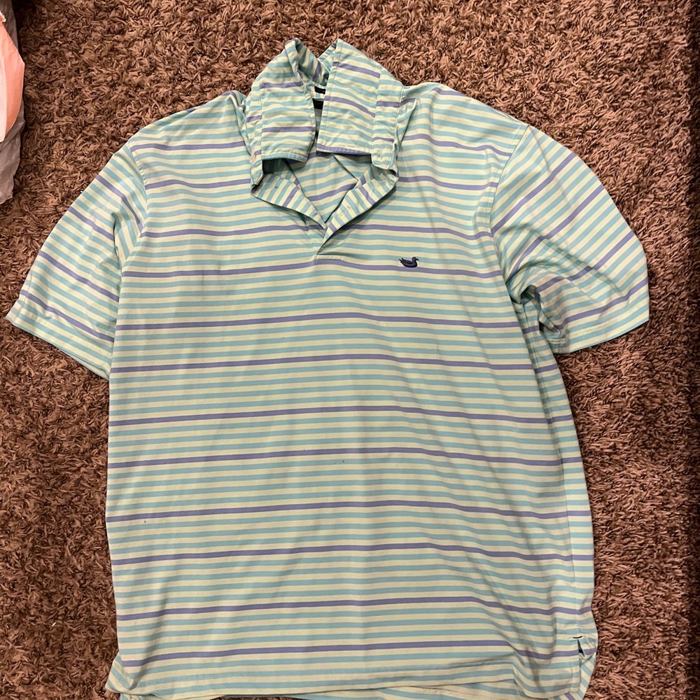 Southern Marsh Men's Polo - Light Green and Blue Stripes